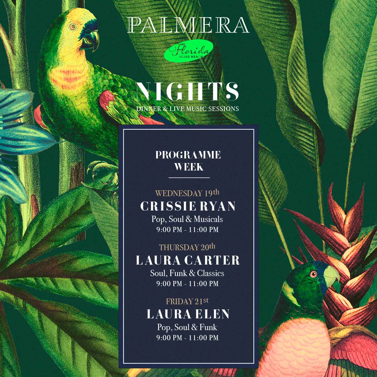 palmera-nights-19
